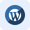 Content Management System (CMS) CRM website icon1
